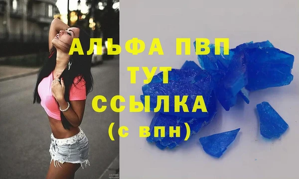 индика Аркадак