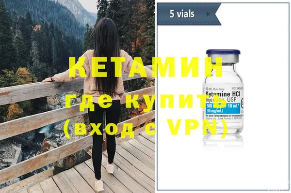 индика Аркадак