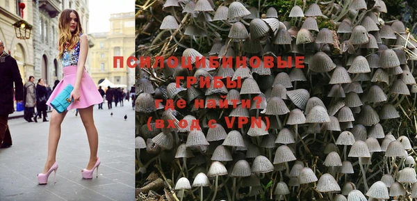 индика Аркадак