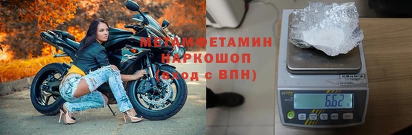 индика Аркадак